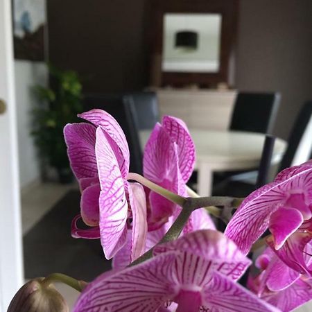 Nano House Lejlighed Bègles Eksteriør billede