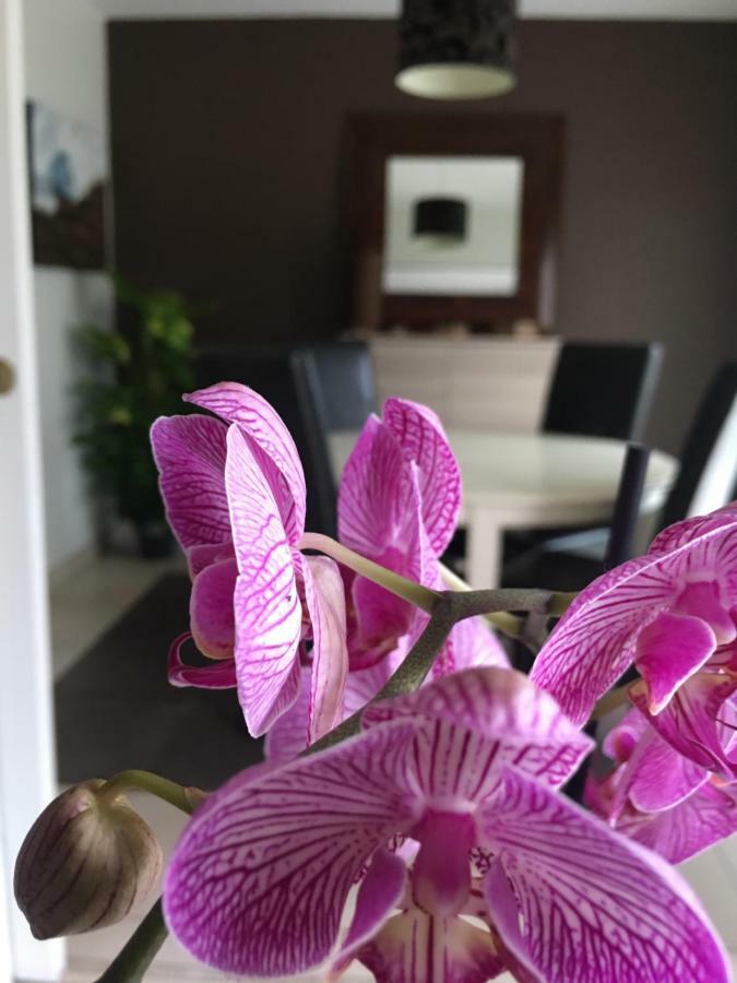 Nano House Lejlighed Bègles Eksteriør billede